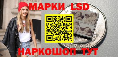 прущие грибы Славгород