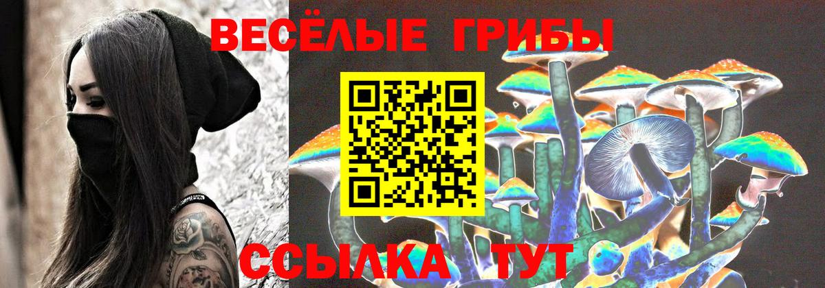 Псилоцибиновые грибы GOLDEN TEACHER Оренбург